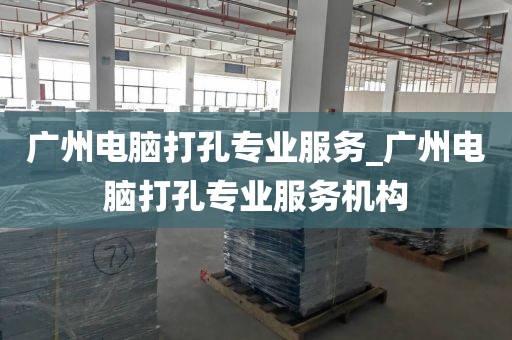 广州电脑打孔专业服务_广州电脑打孔专业服务机构
