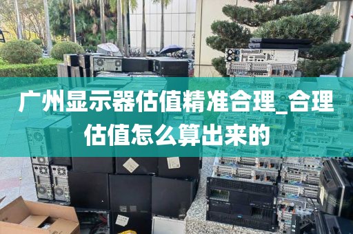 广州显示器估值精准合理_合理估值怎么算出来的