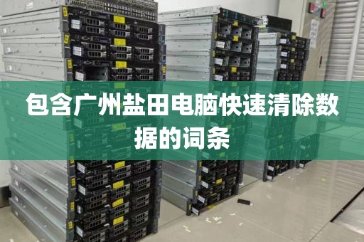 包含广州盐田电脑快速清除数据的词条